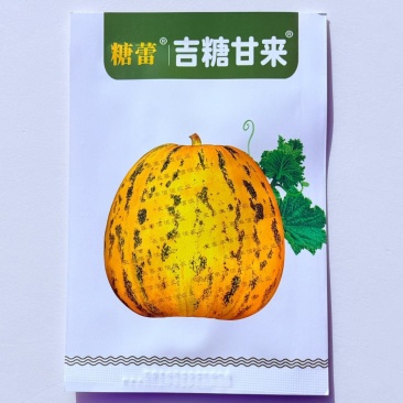 吉糖甘来甜瓜种子花皮绿肉八里香高糖甜瓜种籽耐裂脆甜水果瓜