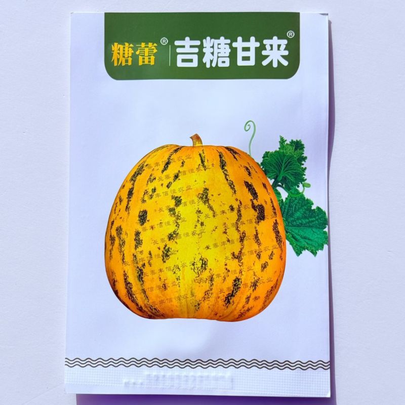 吉糖甘来甜瓜种子花皮绿肉八里香高糖甜瓜种籽耐裂脆甜水果瓜