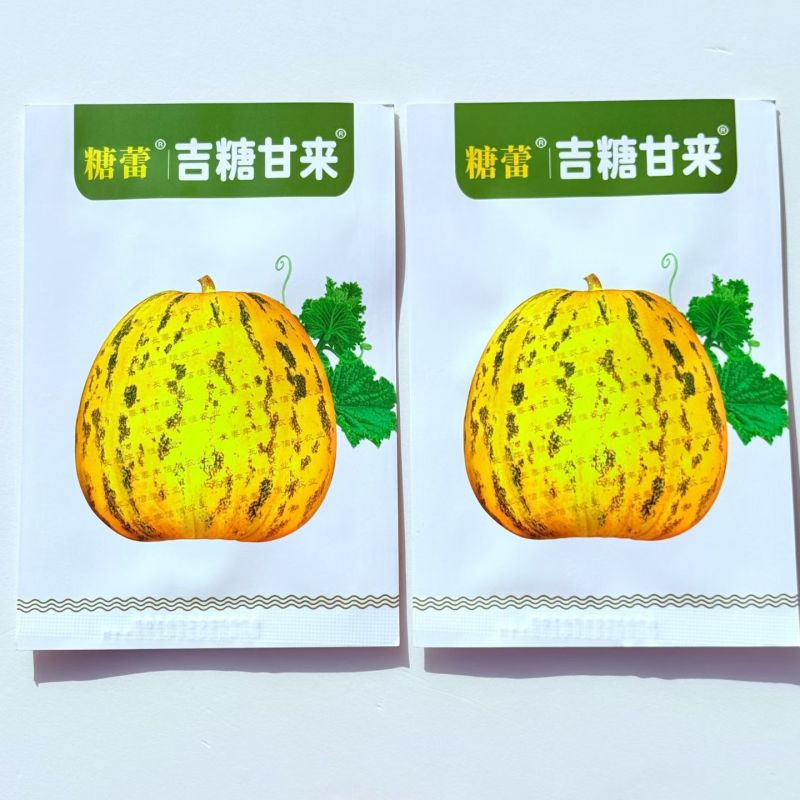 吉糖甘来甜瓜种子花皮绿肉八里香高糖甜瓜种籽耐裂脆甜水果瓜