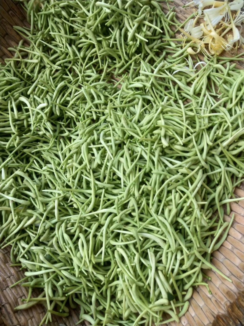 金银花产地直销价格优惠，欢迎朋友来订购，一斤也是批发价