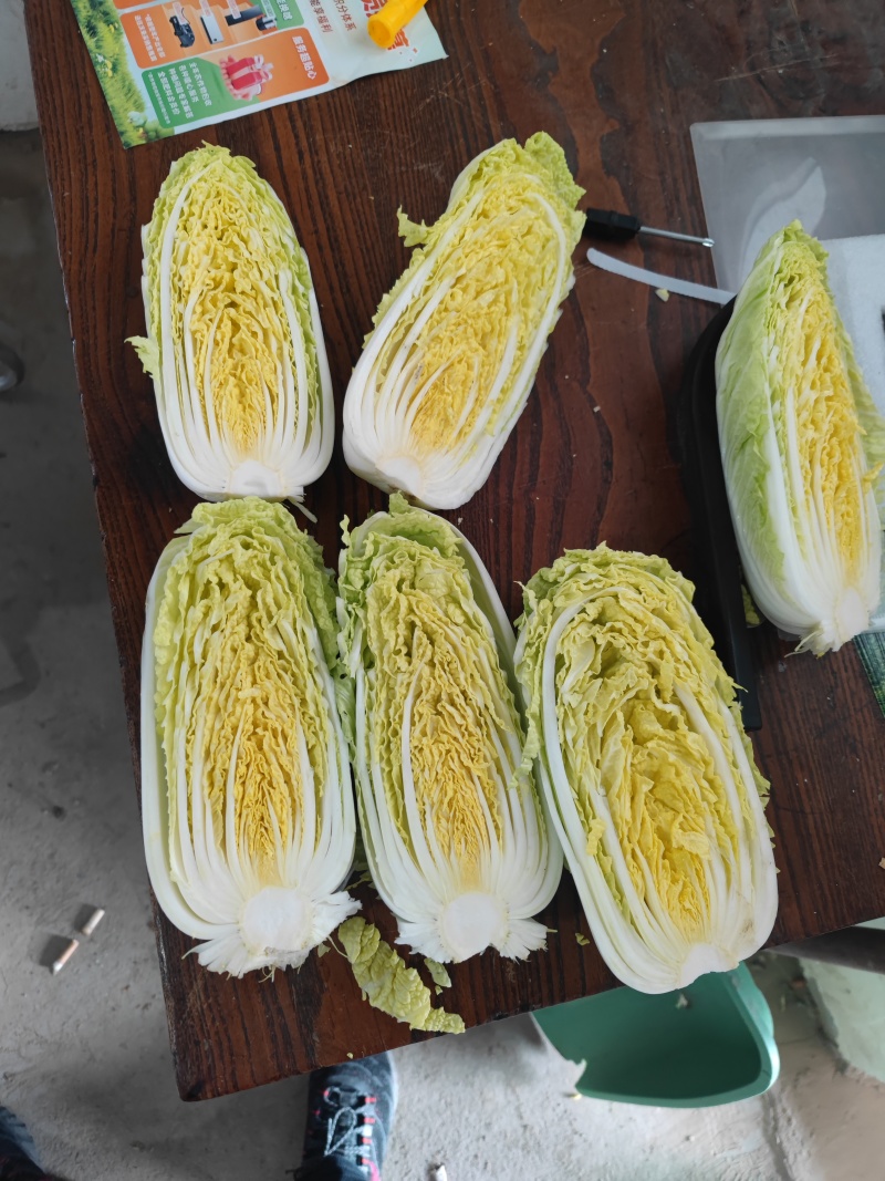 娃娃菜河南安阳精品娃娃菜、净菜、毛菜