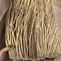 党参
