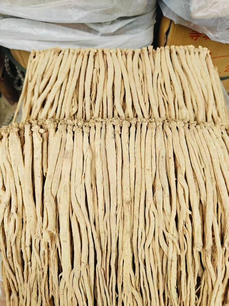 党参