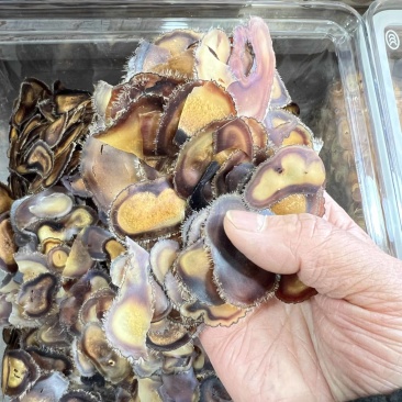 全腊碎腊片，经济实惠，适合自用款，煲汤，打粉，泡酒