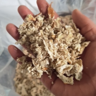 橘络有货