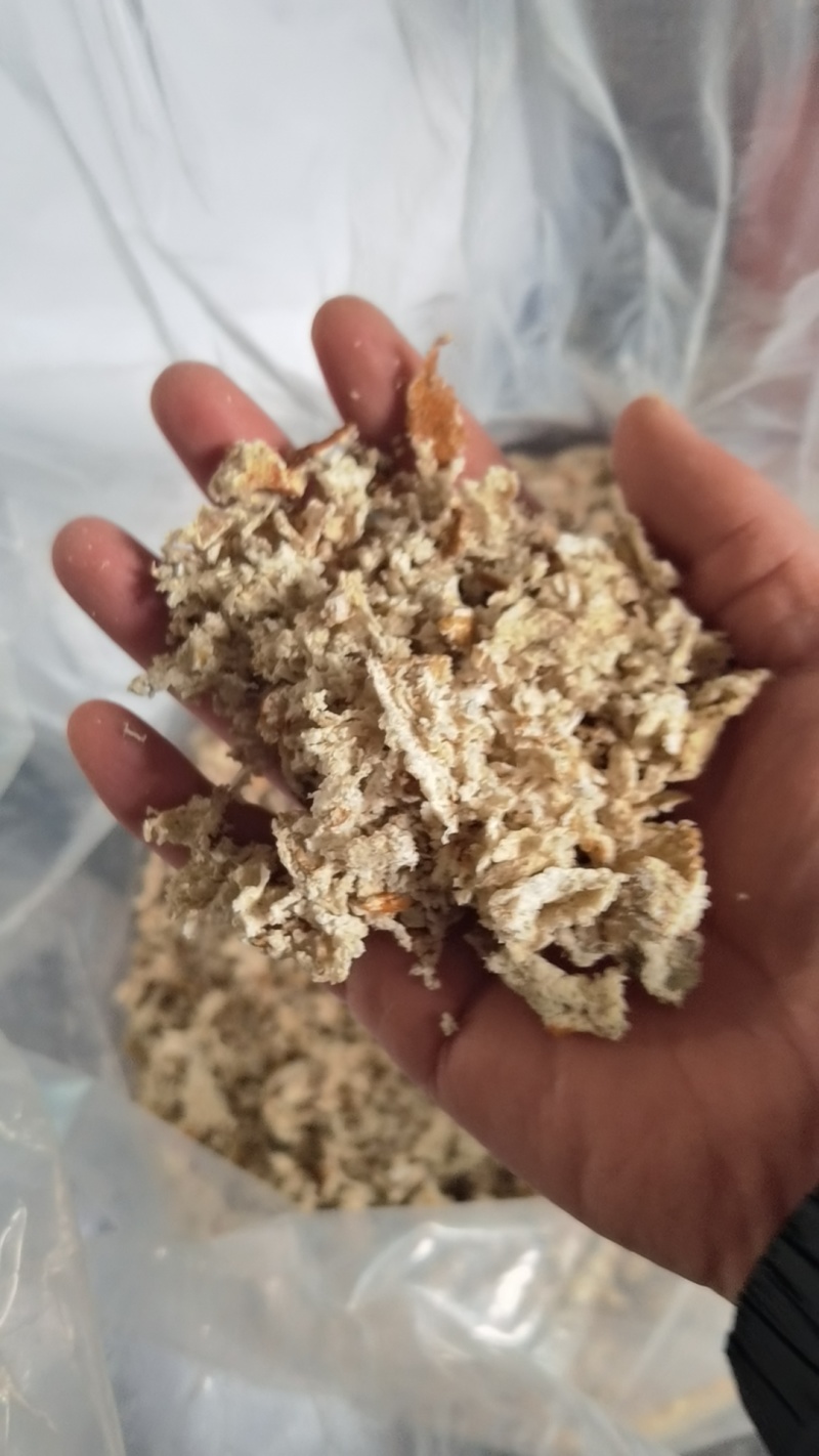 橘络有货