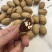好货碧根果无黑尖一手货源价格实惠
