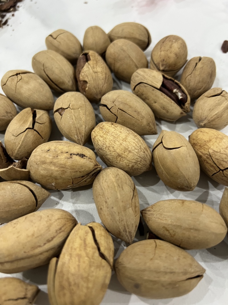 好货碧根果无黑尖一手货源价格实惠