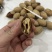 好货碧根果无黑尖一手货源价格实惠