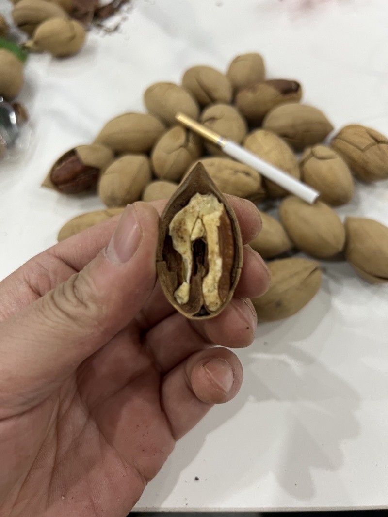 好货碧根果无黑尖一手货源价格实惠