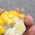 熟化冻玉米头子下脚料无黑斑人可直接食用