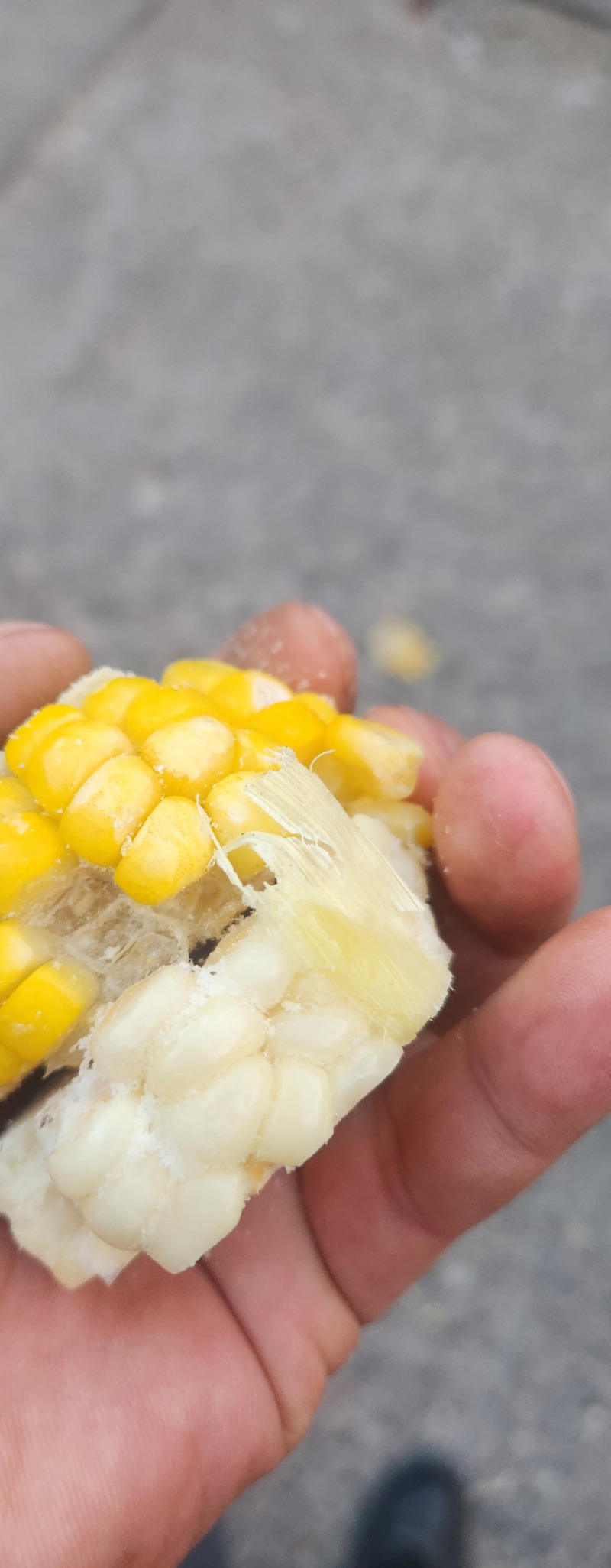 熟化冻玉米头子下脚料无黑斑人可直接食用