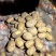 V7土豆河北土豆规格齐全，品质保证，价格可谈，代发全国