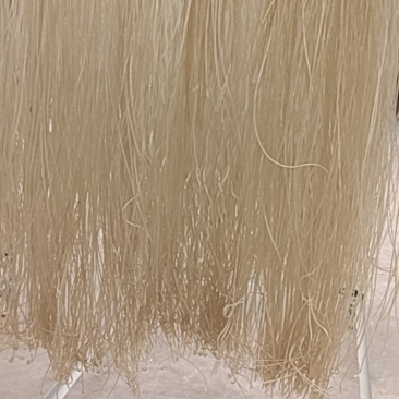 纯红薯粉，纯红薯粉条，假一陪千