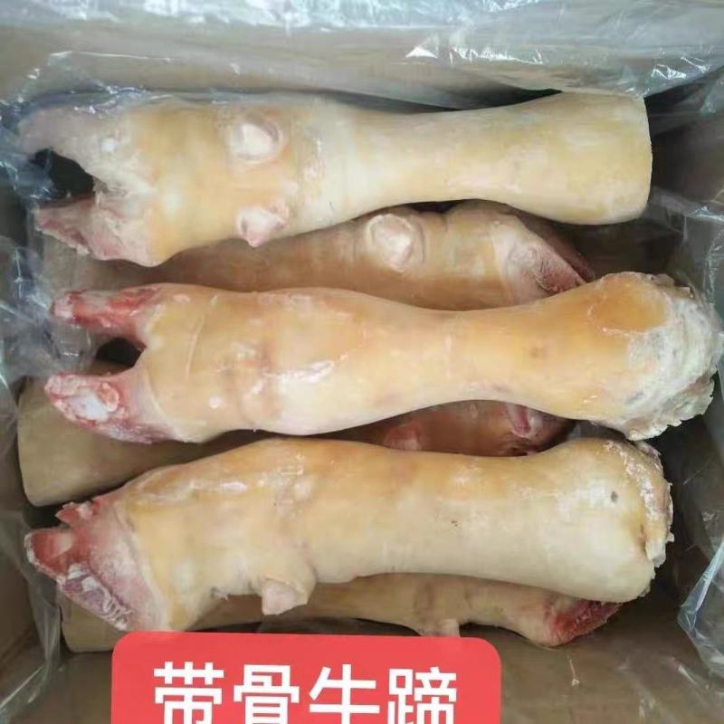 带骨长牛脚水退毛牛蹄一件36斤毛牛蹄牛蹄红烧炖汤