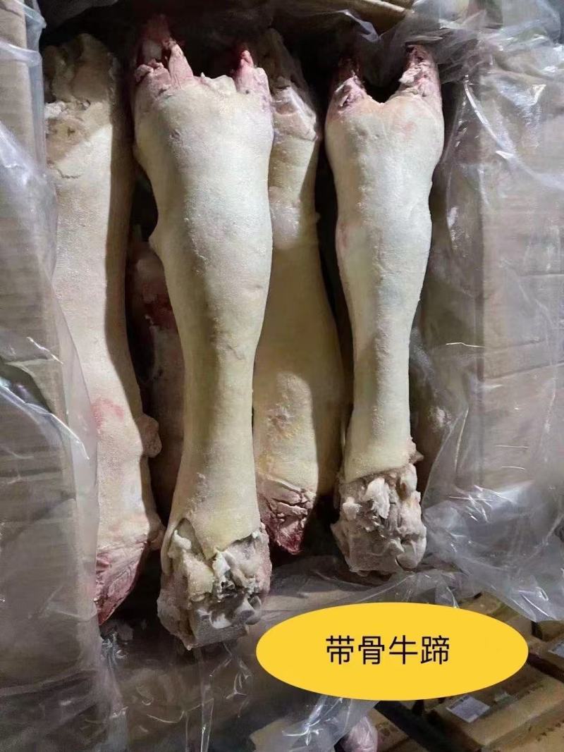 带骨长牛脚水退毛牛蹄一件36斤毛牛蹄牛蹄红烧炖汤