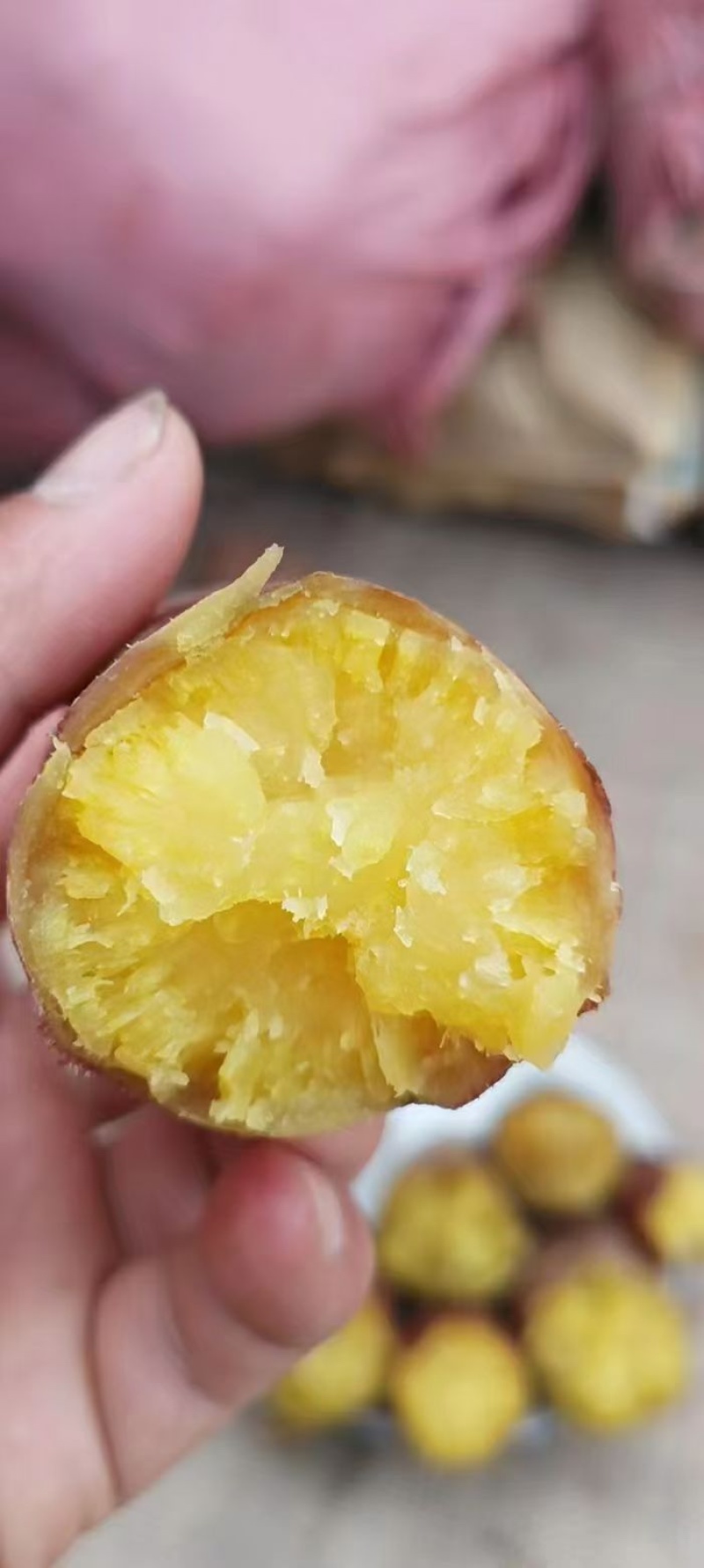 济薯26板栗红薯粉糯香甜沙地种植大量现货价格优惠