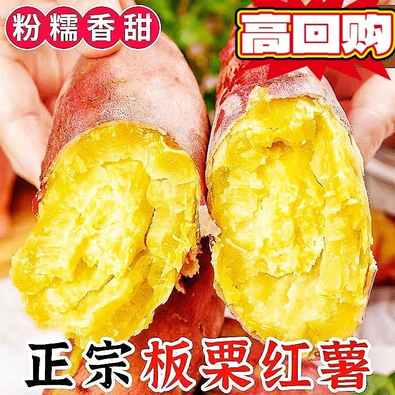 济薯26板栗红薯粉糯香甜沙地种植大量现货价格优惠