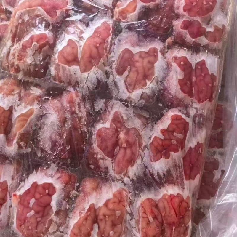 羊脑