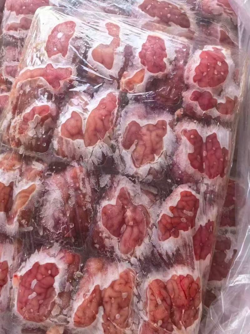 羊脑