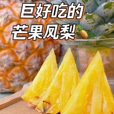 海南芒果凤梨双味爆甜削皮即食无渣爆汁