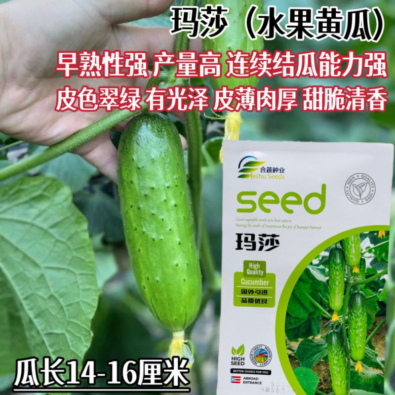 水果黄瓜种子新品种甜脆旱黄瓜种籽阳台田园春秋绿心瓜果种子