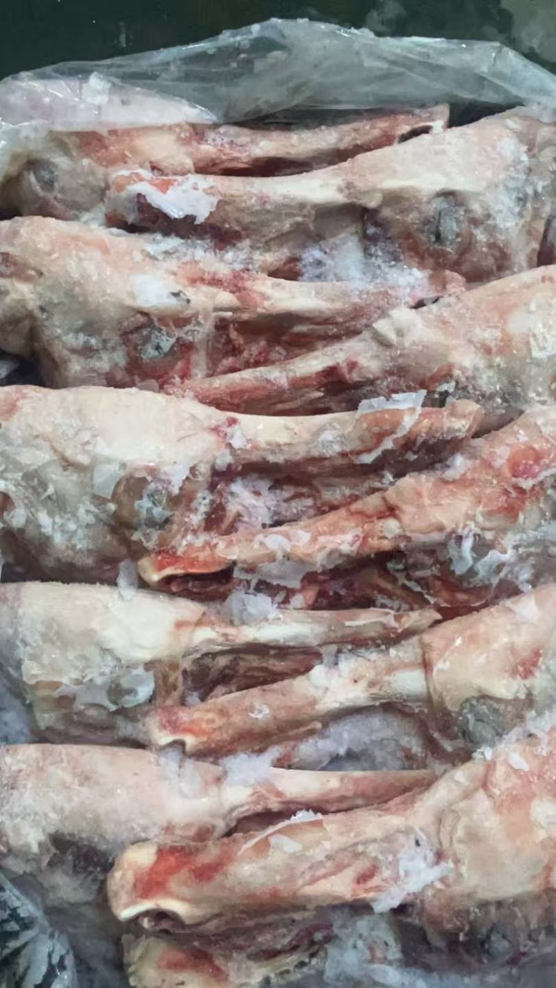 带核桃肉，猪头骨