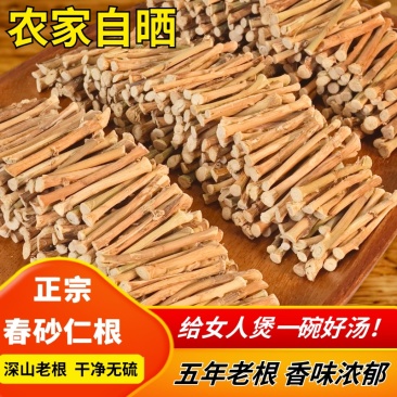 【荐】春砂仁根产地直发正宗阳春砂仁根零售批发煲汤干货