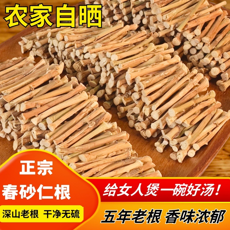 【荐】春砂仁根产地直发正宗阳春砂仁根零售批发煲汤干货
