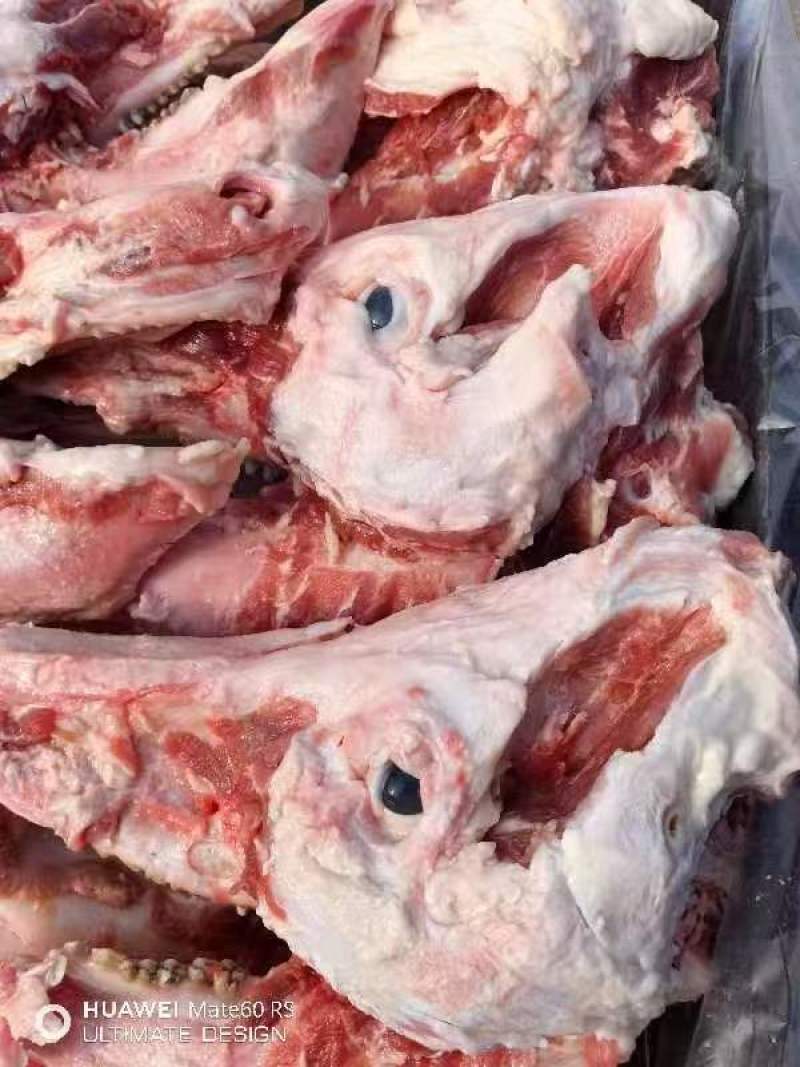 带核桃肉，猪头骨