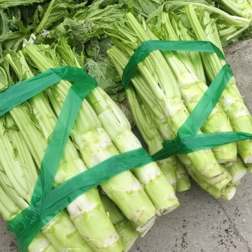 棒棒菜