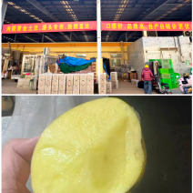 土豆实验一沃土