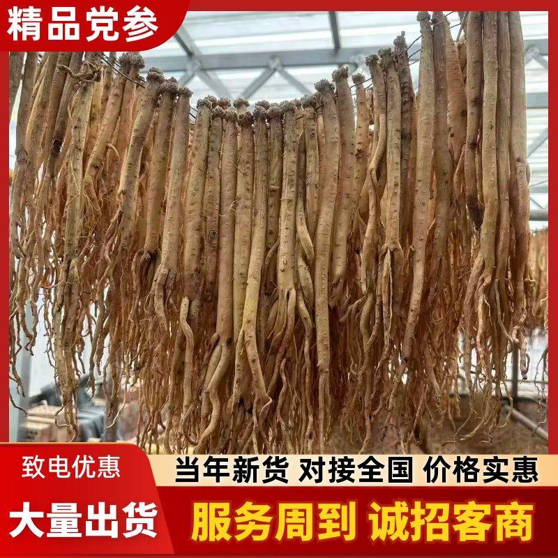 精品白条党参无硫货源充足质量保证量大从优欢迎咨询