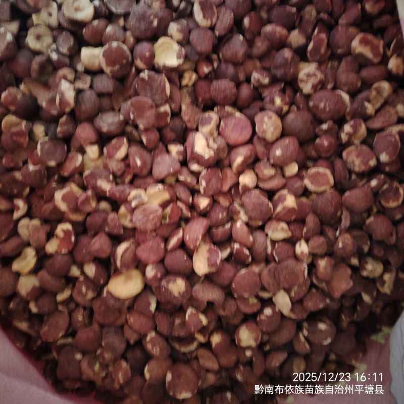 贵州自然晾晒手工脱壳茶籽仁，