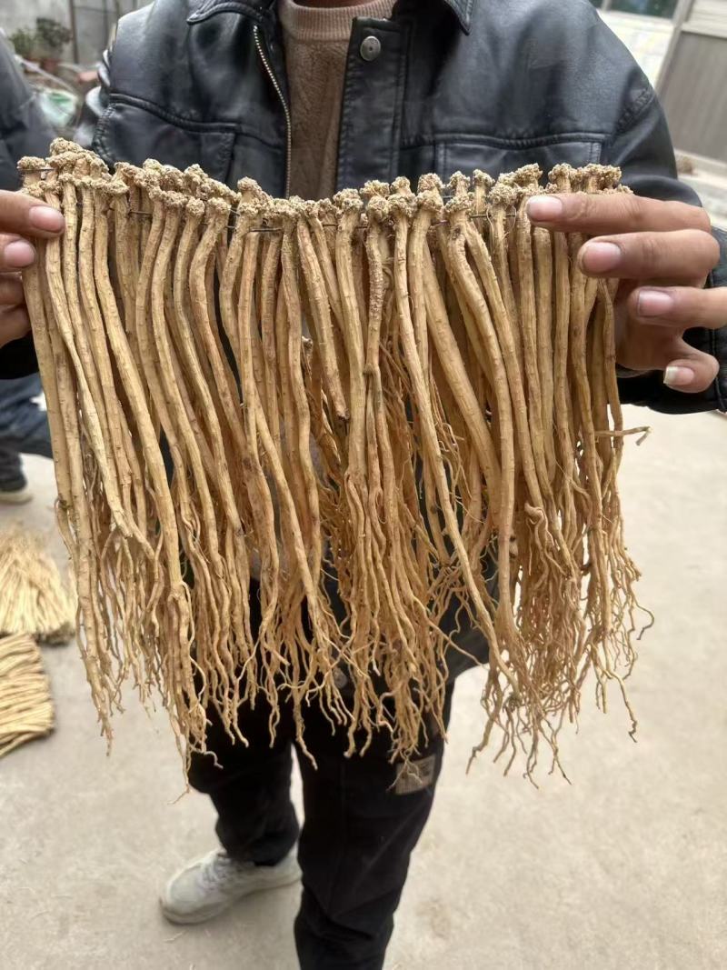 精品白条党参无硫货源充足质量保证量大从优欢迎咨询