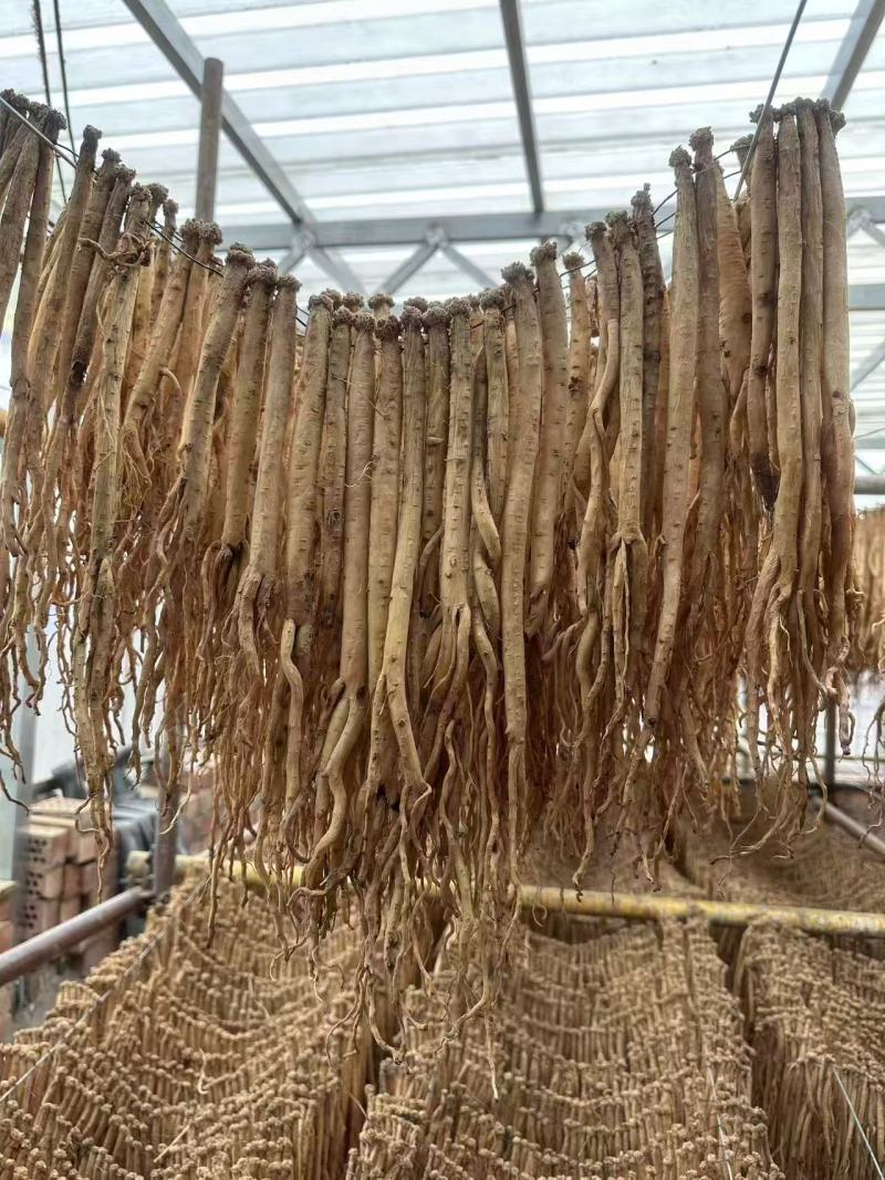 精品白条党参无硫货源充足质量保证量大从优欢迎咨询