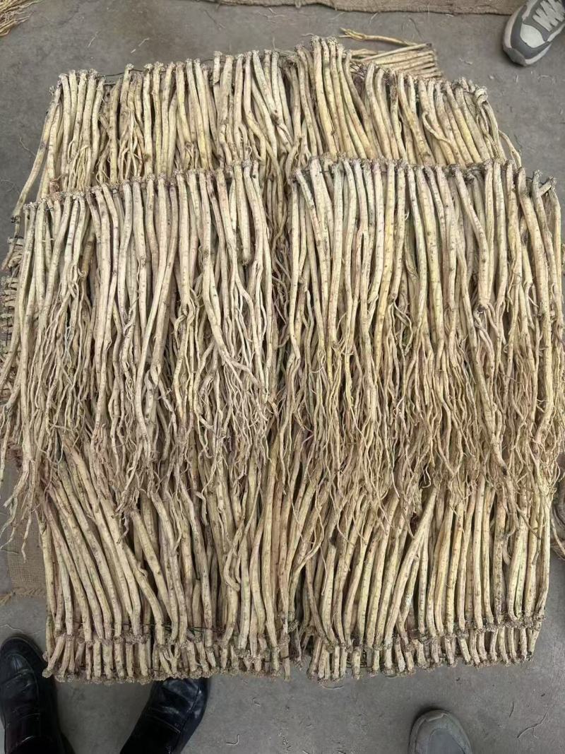 精品白条党参无硫货源充足质量保证量大从优欢迎咨询