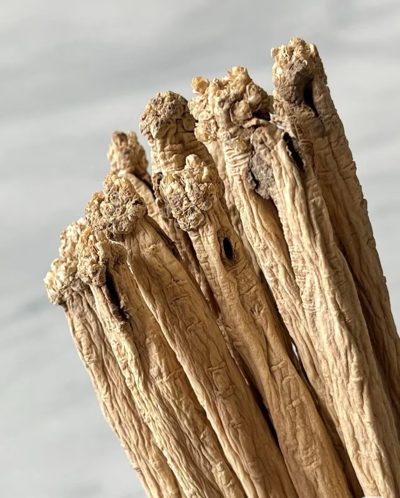 精品白条党参无硫货源充足质量保证量大从优欢迎咨询