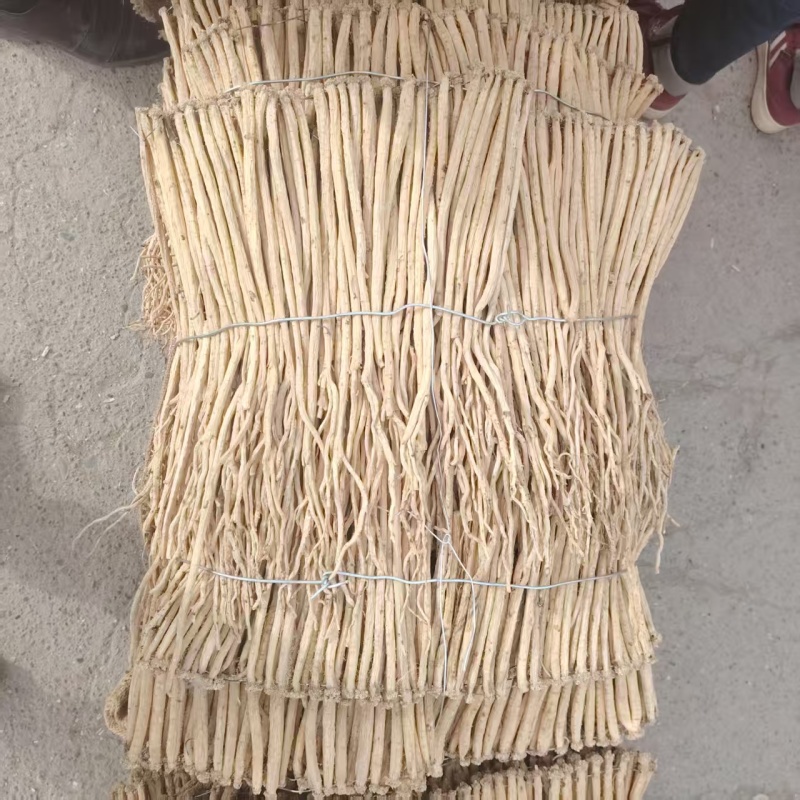 精品白条党参无硫货源充足质量保证量大从优欢迎咨询