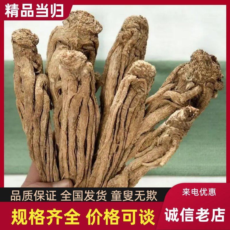 精品当归货源充足量大从优质量保证量大从优欢迎咨询
