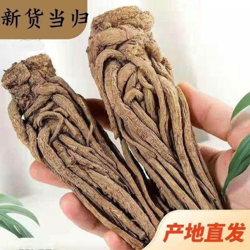 精品当归货源充足量大从优质量保证量大从优欢迎咨询