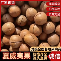 夏威夷果/500克净重/厂家发货/对接电商品质
