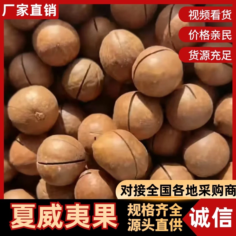 夏威夷果/500克净重/厂家发货/对接电商品质