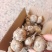 阳春沙姜正宗新鲜沙姜味浓源产地直发