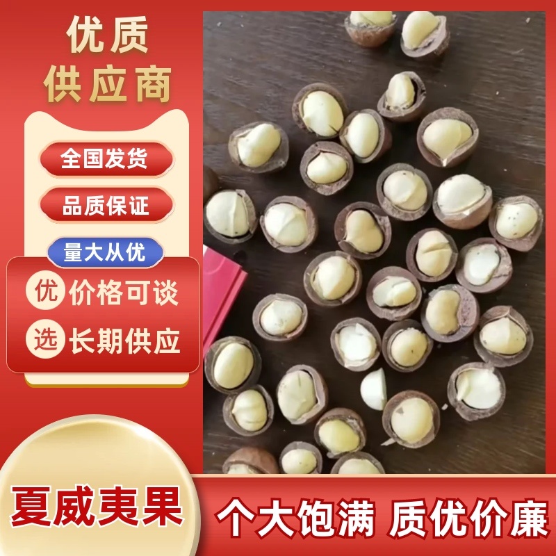 夏威夷果/500克净重/厂家发货/对接电商品质