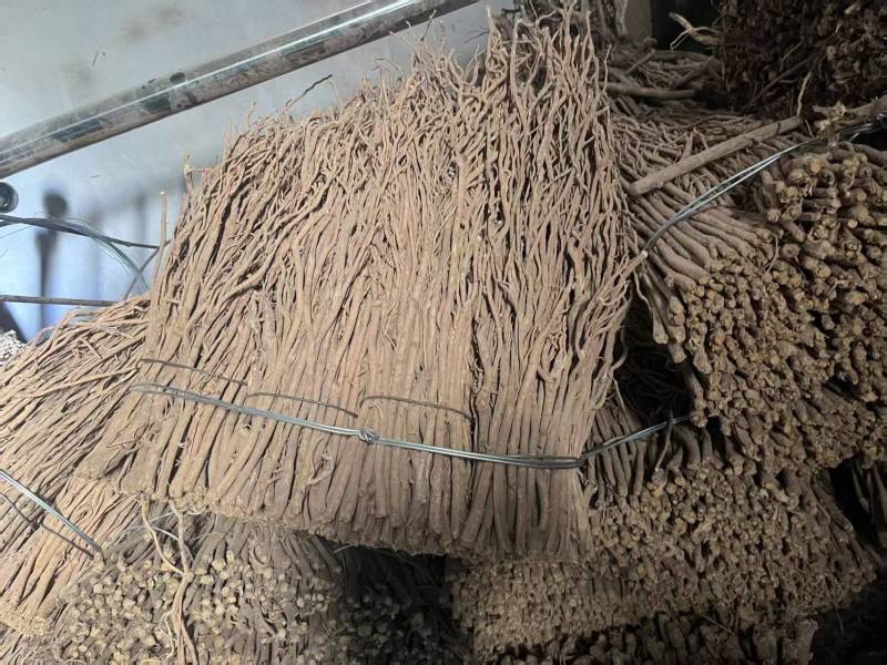 黄芪毛芪产地供应量大从优质量保证诚信经营欢迎咨询