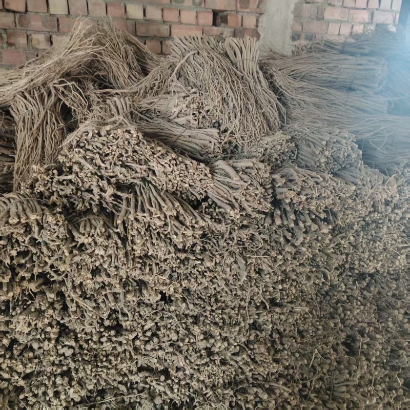 黄芪毛芪产地供应量大从优质量保证诚信经营欢迎咨询
