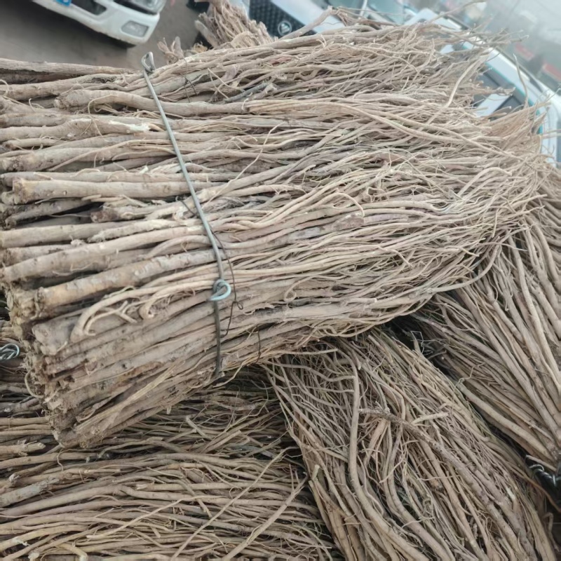 黄芪毛芪产地供应量大从优质量保证诚信经营欢迎咨询