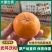 武鸣沃柑电商一件代发，可对接主播（包起量）欢迎老板对接