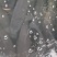 各种大小规格青鱼，黑鱼发货18388033073